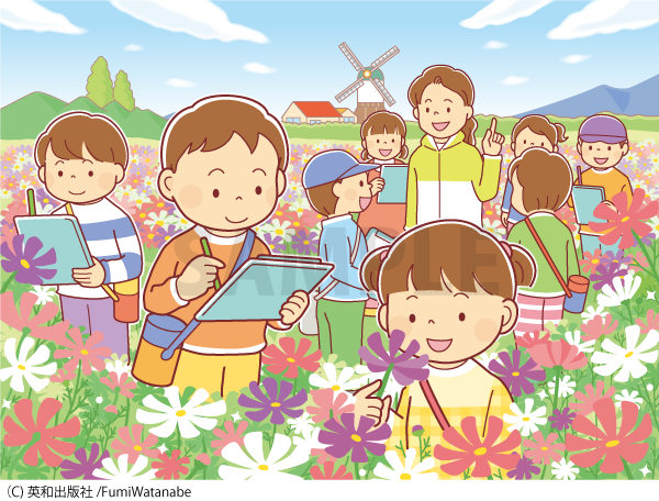 コスモス畑のイラスト