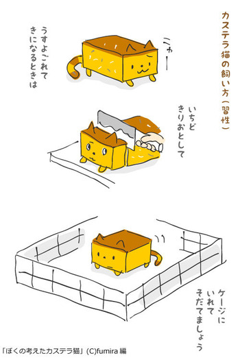 カステラ猫65