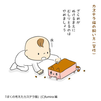 カステラ猫68