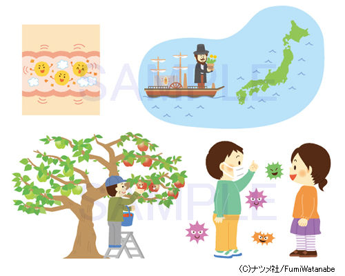 images