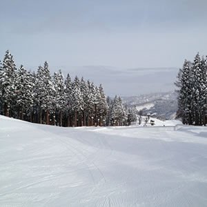 image1