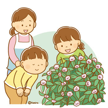 �����֤Υ��饹��350