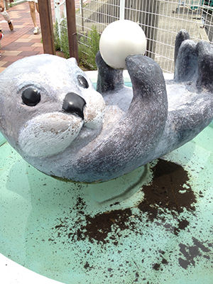 ラッコ