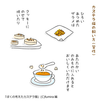 カステラ猫67