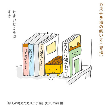 カステラ猫62