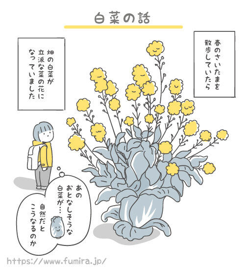 白菜の話