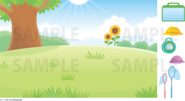 �٥ӡ��֥å�8��9���٥ӡ��Х����ꥤ�饹��