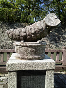 画像 5570