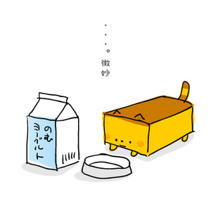 カステラ猫