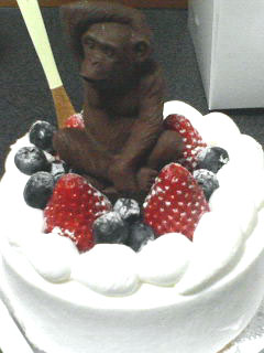 �����뤱�������祳