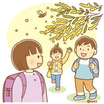 ミモザの花が咲いている道を登下校する小学生のイラスト350