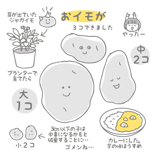 おイモの話