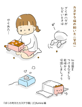カステラ猫69