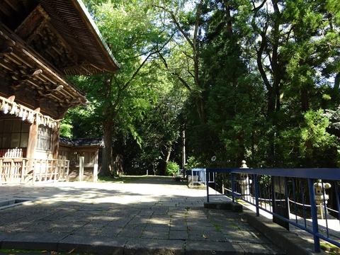 DSC00757