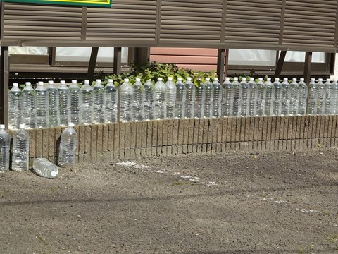 DSC00781