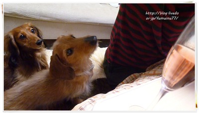 2012_1026_150557-P1210490