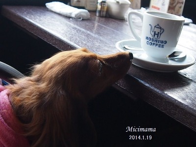 2014_0119_100704-P1194954