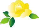 薔薇 黄
