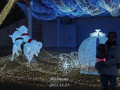 2013_1123_170711-PB234205