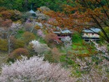 P4120080~01