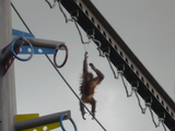 旭山動物園