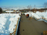 RIMG0272