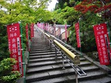 IMG_20190531_140300-1024x768