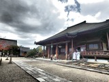 PA300028~01