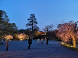 IMG_20190408_184221
