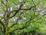 IMG_20190721_151318-1024x768