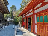 IMG_20190404_124035-1024x768