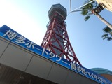 PA240021~01