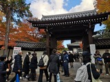 IMG_20211128_140840_copy_1024x768
