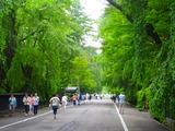 P7100005~01