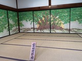 IMG_20190202_141723-800x600