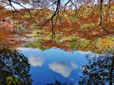 IMG_20211204_131334_copy_1024x768