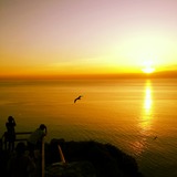 IMG_20130610_153510