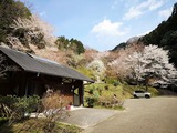 IMG_20190403_133712-1024x768