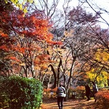 IMG_20121120_094039