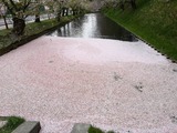 IMG_20190430_151452-1024x768