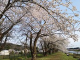 IMG_20190428_165527-1024x768