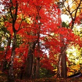 IMG_20131108_173526~01
