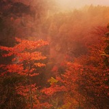 IMG_20131109_203255~01