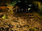清水寺