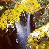 IMG_20131126_184143~01