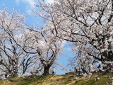IMG_20190406_093514-1024x768
