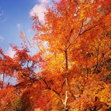 IMG_20131126_184204~01