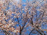 IMG_20190416_095324-1024x768