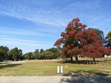 IMG_20201105_130324_copy_1024x768