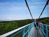 IMG_20190511_091702-1024x768